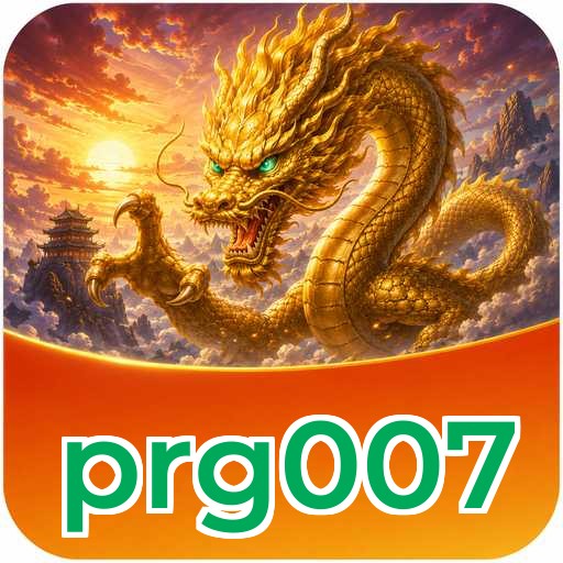 Developer Info prg007